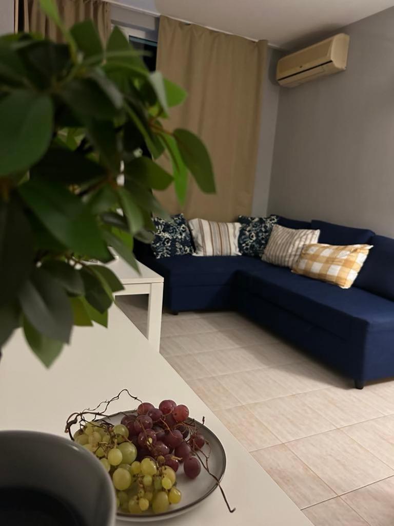 Pollo Resort, Summer Wind Apartaments Sunny Beach Ngoại thất bức ảnh